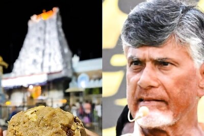 Tirupati Laddoo Row: Andhra Suspends SIT Probe Until Supreme Court Hearing