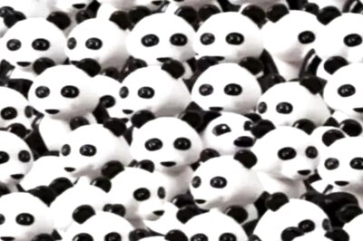 Optical Illusion: Can You Spot The Puppy Hidden Among Pandas In 20 Seconds?