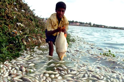 The Vanishing Act: Bengaluru No Longer a Lake City?