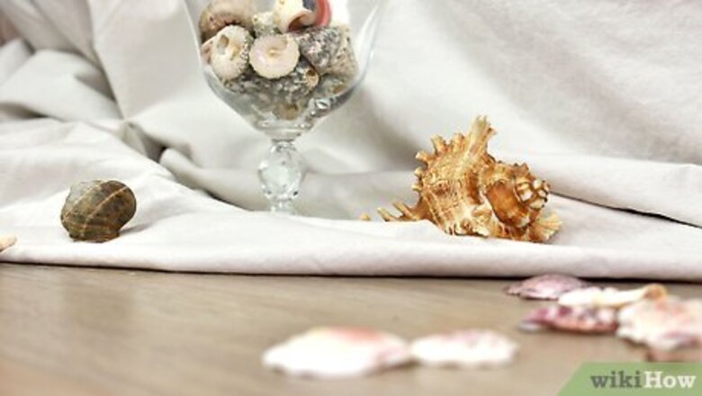 How to Display Seashells