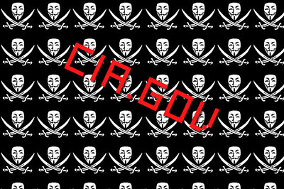 Anonymous hackers take down CIA website
