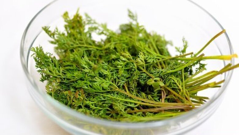 How to Make Carrot Top Pesto