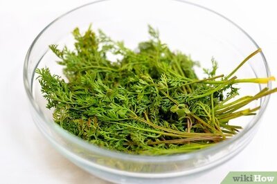 How to Make Carrot Top Pesto