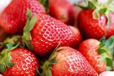 8-Year-Old Dies After Consuming Strawberries Purchased From School Fundraiser