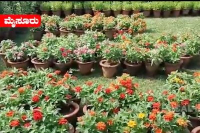 Mysuru Prepares For Grand Start To 2024 With Magi Utsav Celebration