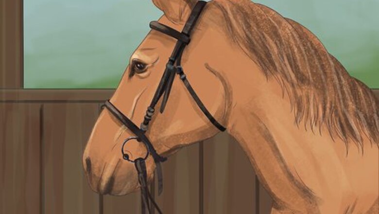 How to Brush a Horse