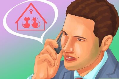 How to Buy Prairie Dogs