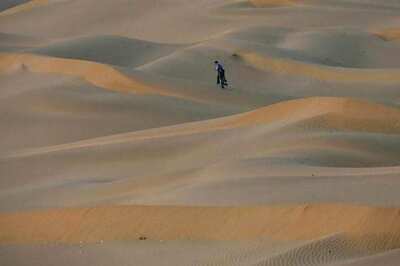 'Khojis' on Verge of Extinction in Rajasthan Owing to Strict Vigil, Wire-fencing