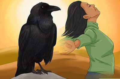 What Do Crows Symbolize Spiritually? 4 Meanings