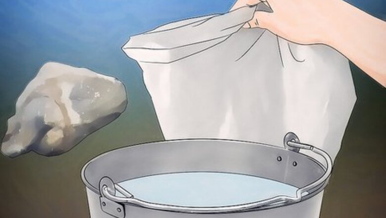 How to Get Rid of Wasps Naturally