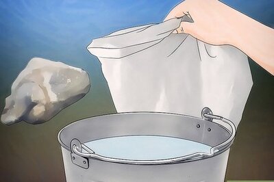 How to Get Rid of Wasps Naturally
