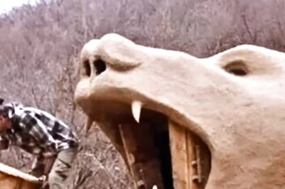 Man Builds Bear-shaped Mud House In The Wilderness, Know Why