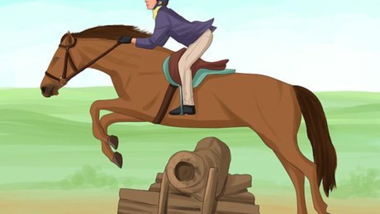 How to Deal With a Mare in Heat