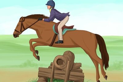 How to Deal With a Mare in Heat