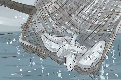 How to Help Prevent Damage to Our Oceans