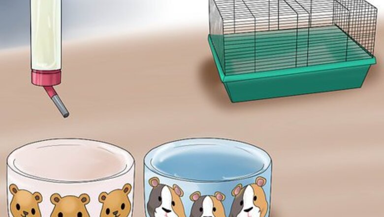 How to Accessorize a Hamster's Cage