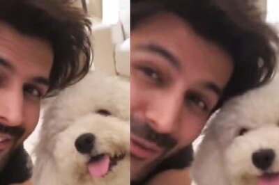Netizens Want Kartik Aaryan's Pet Katori to Meet Kriti Sanon's Disco After Shehzada Actor Drops This Reel