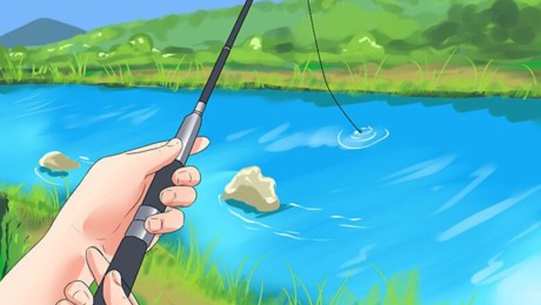 How to Catch Salmon