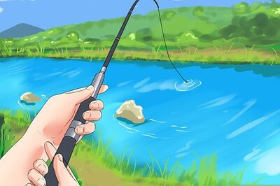 How to Catch Salmon