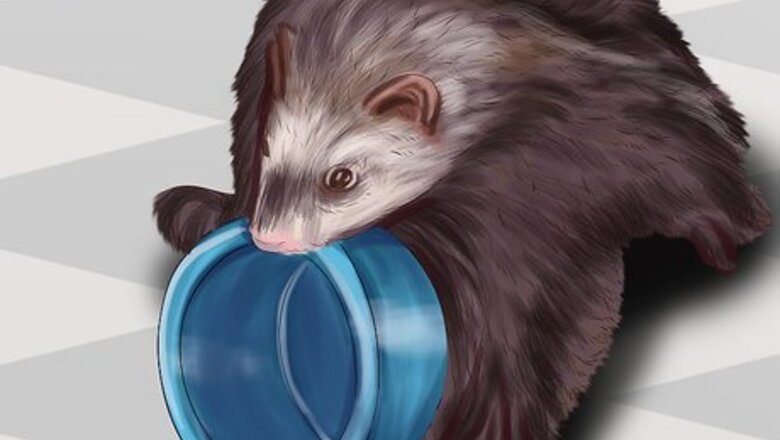 How to Prevent Heartworm in Ferrets
