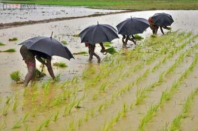 Late monsoon starts farmer's 'journey to hell'