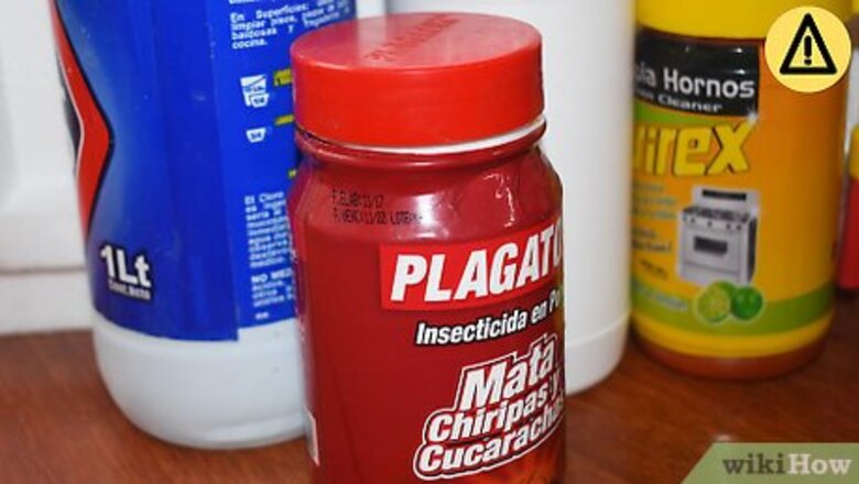 How to Treat a New Dog