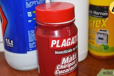 How to Treat a New Dog