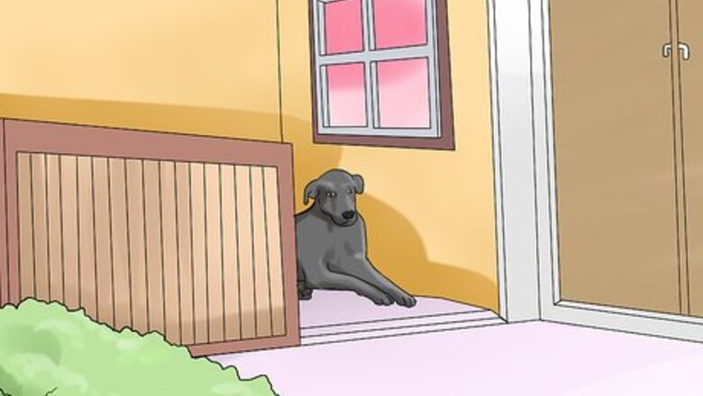 How to Keep Your Dog Comfortable Outdoors
