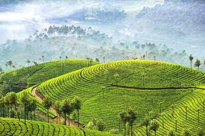 Visit These Five Places In India During This Summer