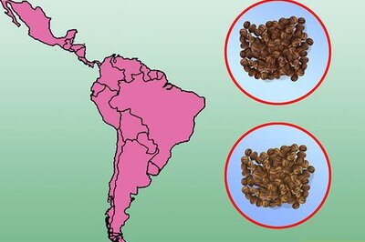 How to Buy Green Coffee Beans