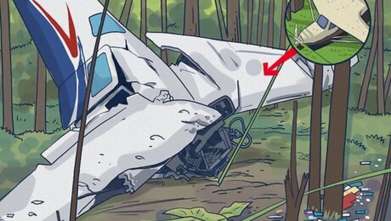 99 Nights in the Forest: The True Story Explained