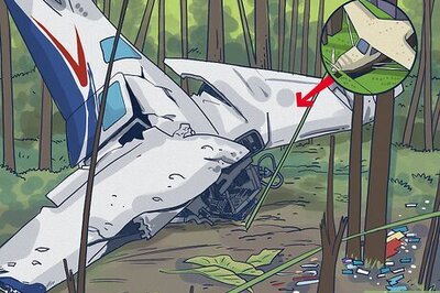 99 Nights in the Forest: The True Story Explained