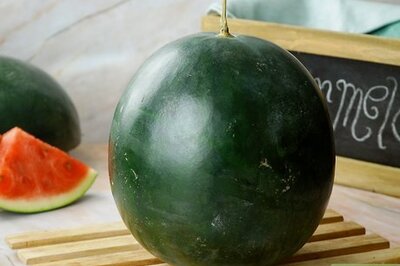 How to Select a Watermelon