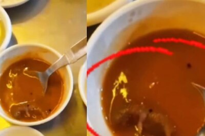 Shocking Video: Customer Finds Dead Rat In Sambar At Ahmedabad Eatery
