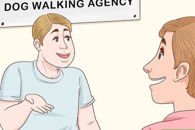 How to Become a Dog Walker