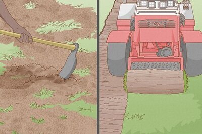 How to Get and Maintain a Healthy Lawn