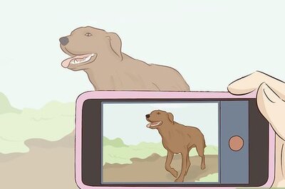 How to Learn Video Editing