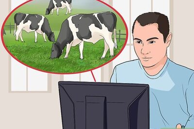 How to Start a Dairy Farm