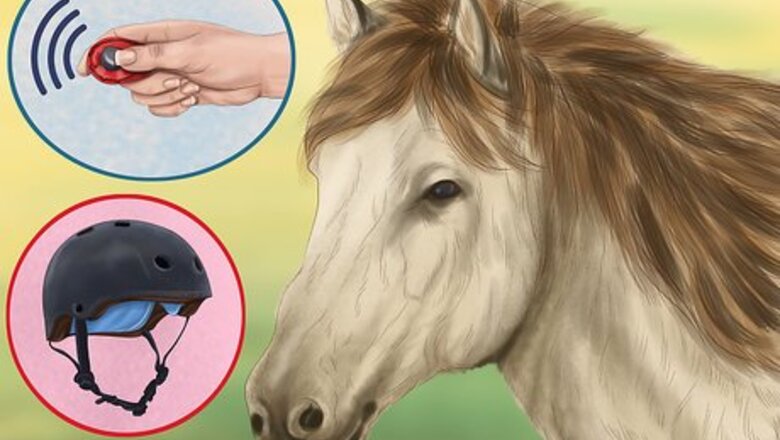 How to Teach Your Horse to Lie Down