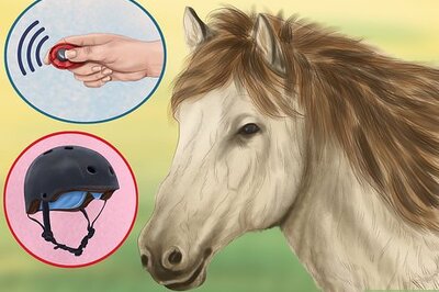 How to Teach Your Horse to Lie Down