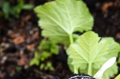 32-year-old Quits Well-paying Job at Bharat Biotech for Organic Farming, Receives Award