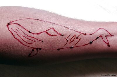 Another Suicide Suspected Due to Blue Whale Game in UP