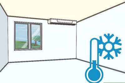 How to Let Your Ferret Out of Its Cage