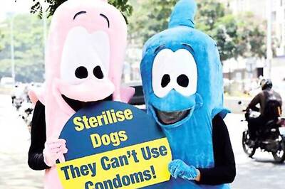 Chennai: 'Condoms' hold up traffic at city centre