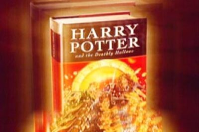 J K Rowling bestowed with France Honours