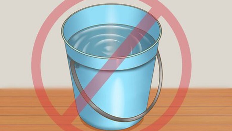 How to Protect Your Pets from Summertime Pests