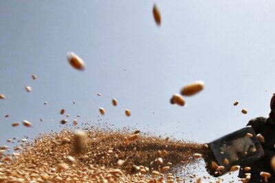 Govt Hikes Wheat MSP by Rs 40 to Rs 2,015 Per Quintal for 2021-22 Crop Year