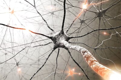 Hormone Shows Promise For Treating Neurodegenerative Conditions