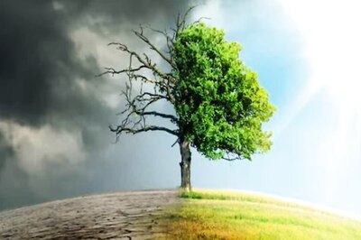 India To Lose 0.05% of GDP Due To EU's Carbon Tax, Should Impose 'Historical Polluter Tax' on EU: Report