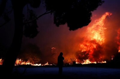 Greek Wildfire: At Least 50 Killed Near Athens, Families Flee to Beaches